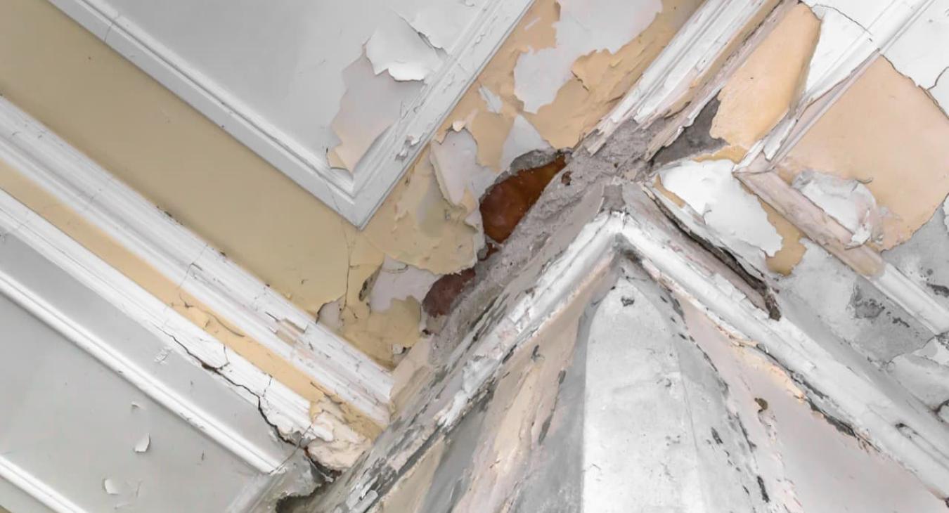 Étanchéité & Recherche de fuite de toit 59 Nord